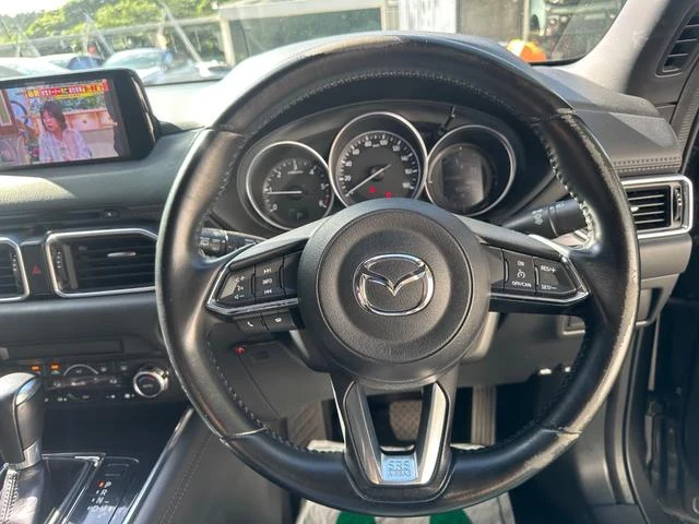 Mazda CX-8 18