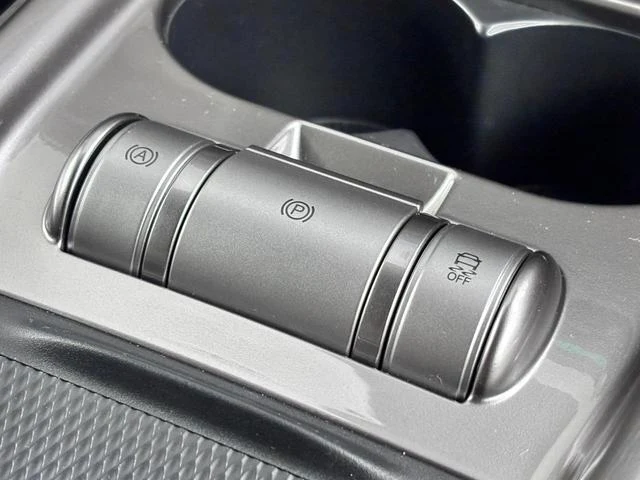 BYD DOLPHIN 33