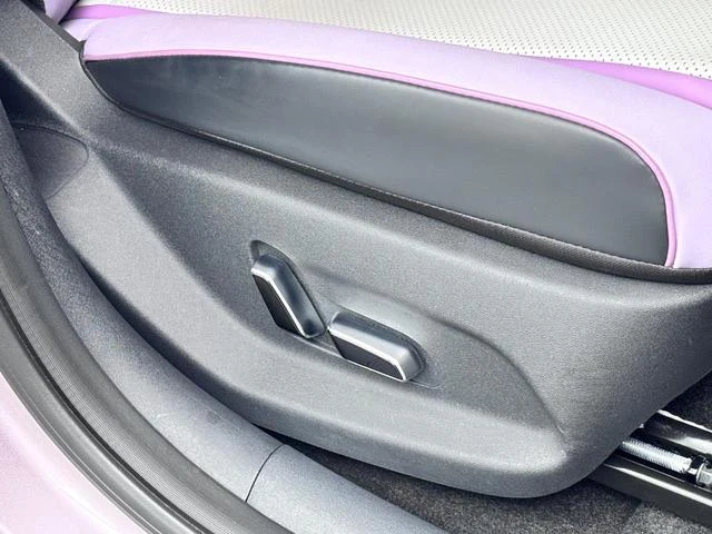 BYD DOLPHIN 30