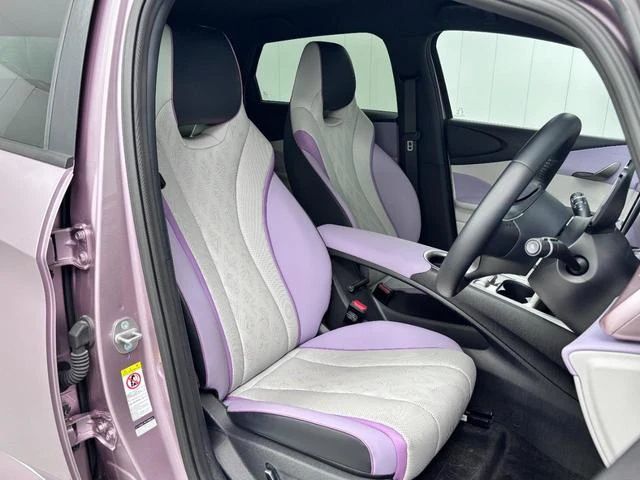 BYD DOLPHIN 21