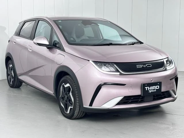 BYD DOLPHIN 2