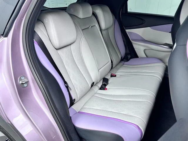 BYD DOLPHIN 24
