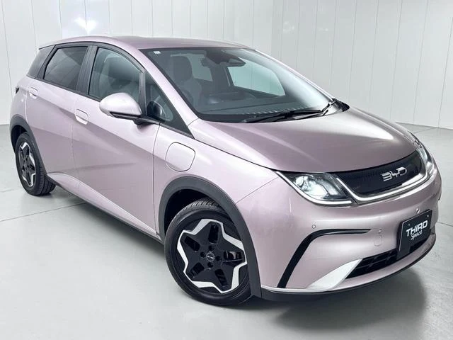 BYD DOLPHIN 11