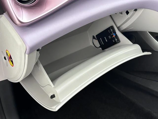BYD DOLPHIN 35
