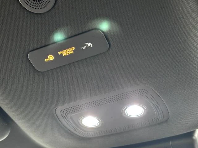 BYD DOLPHIN 41