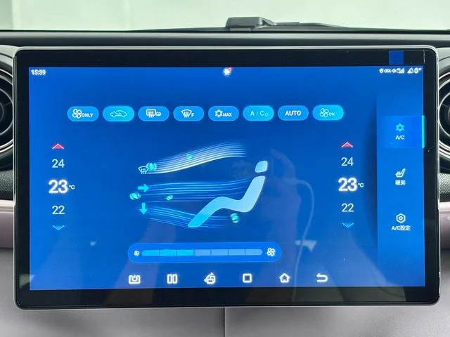 BYD DOLPHIN 15