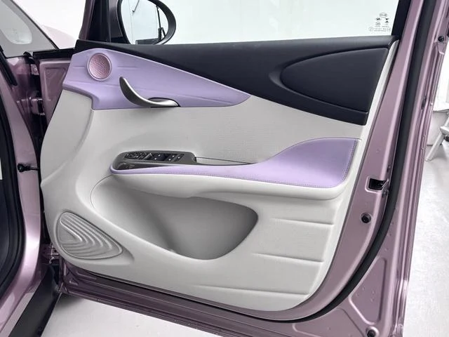 BYD DOLPHIN 29