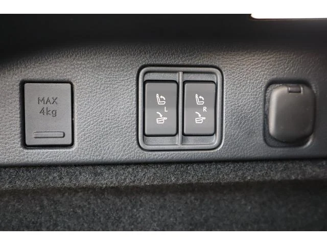 Lexus RX 19
