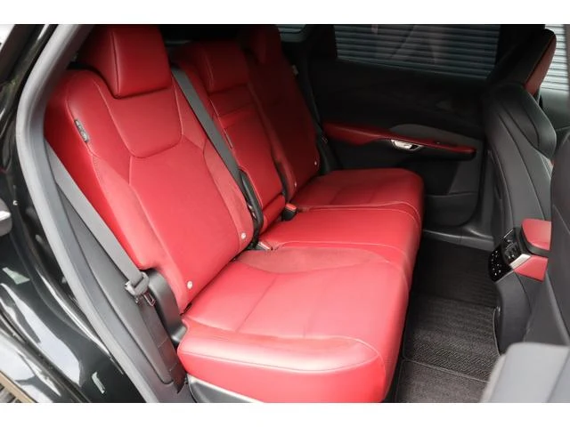 Lexus RX 46