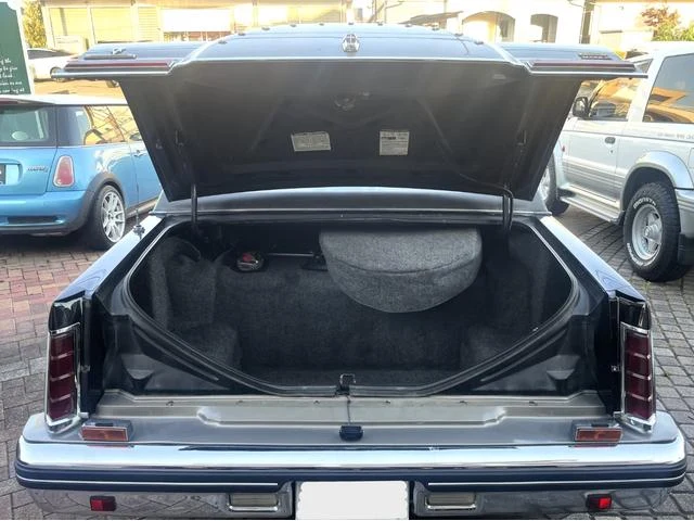 Lincoln MARK VI 18