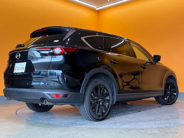 Mazda CX-8 11