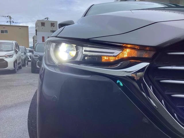 Mazda CX-8 13
