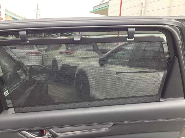 Mazda CX-8 38