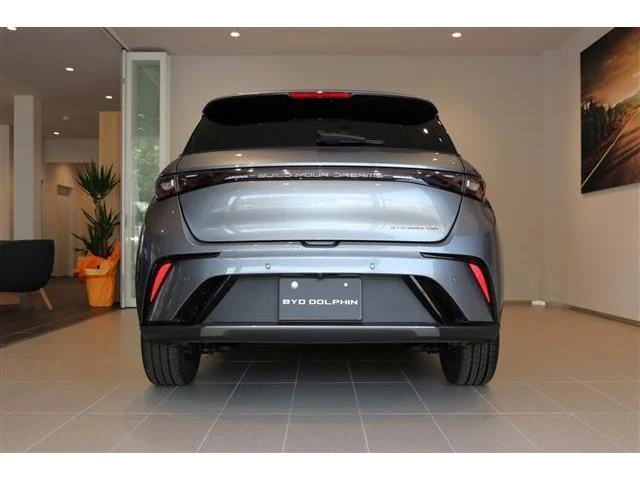 BYD DOLPHIN 14
