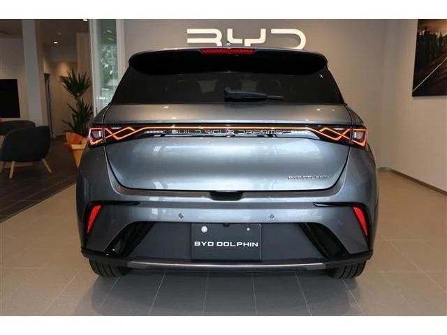 BYD DOLPHIN 15