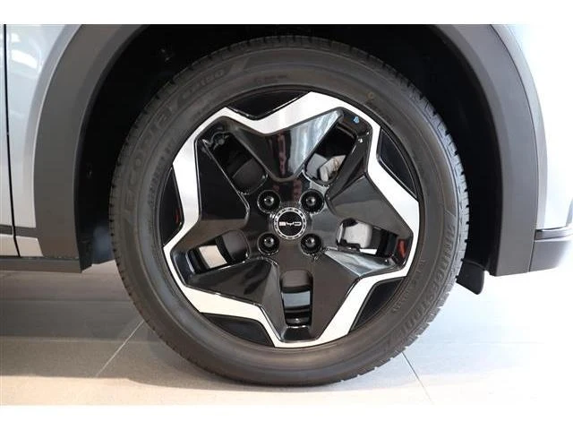 BYD DOLPHIN 18