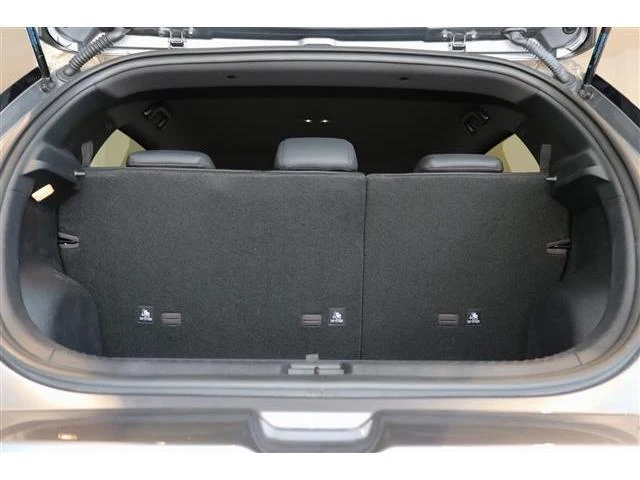BYD DOLPHIN 16