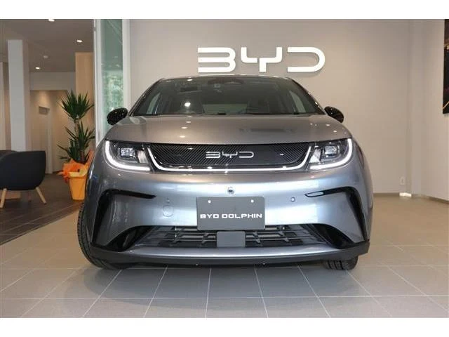 BYD DOLPHIN 11
