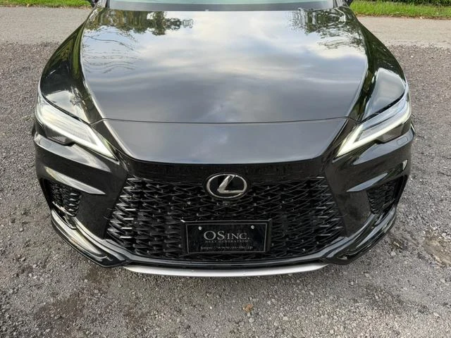 Lexus RX 19