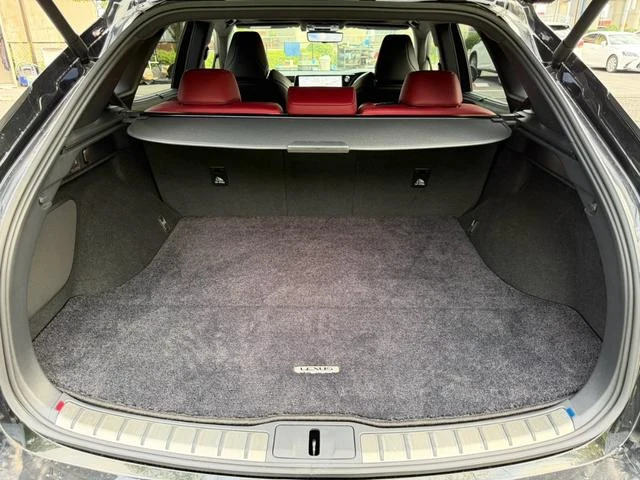 Lexus RX 67