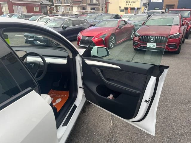 Tesla MODEL 34