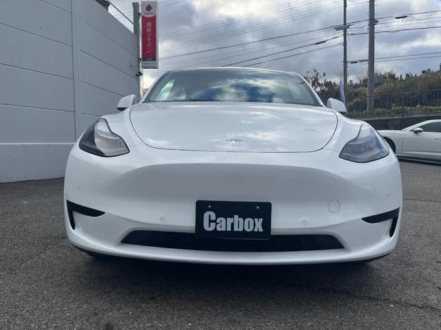Tesla MODEL 30