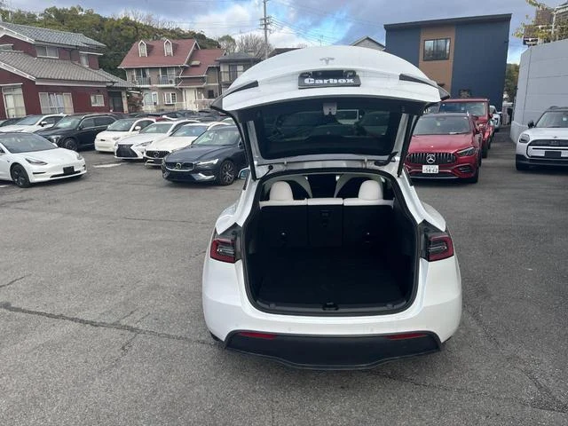 Tesla MODEL 66