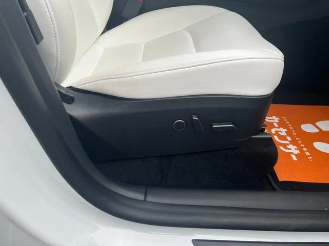 Tesla MODEL 6