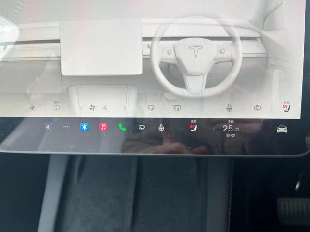 Tesla MODEL 24