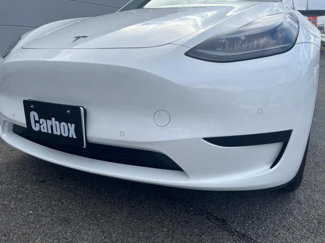 Tesla MODEL 15
