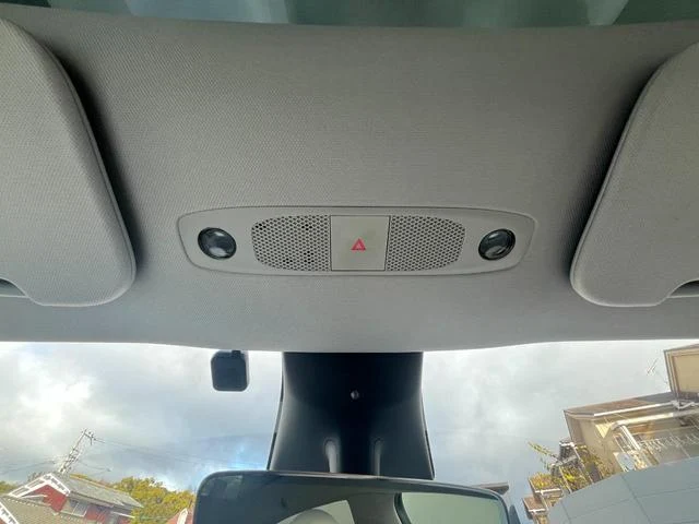 Tesla MODEL 42