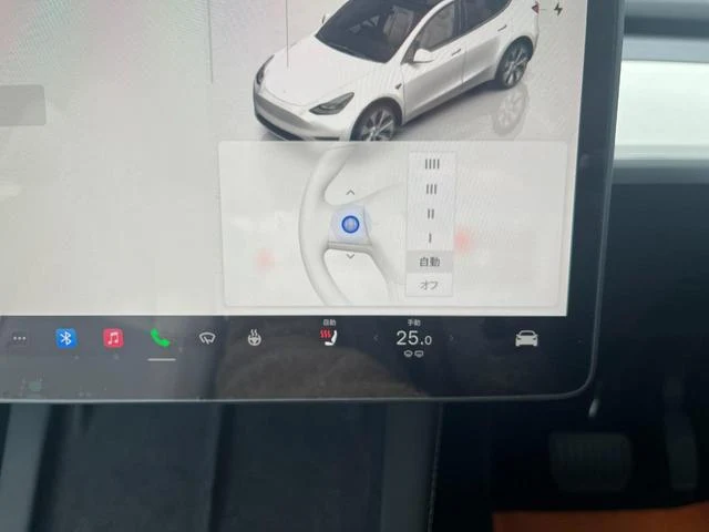 Tesla MODEL 26