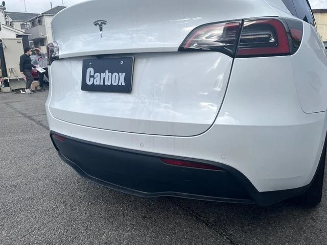 Tesla MODEL 55