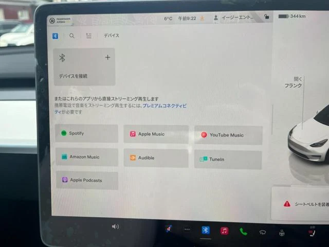 Tesla MODEL 39