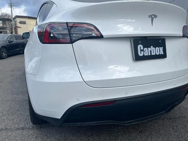 Tesla MODEL 56