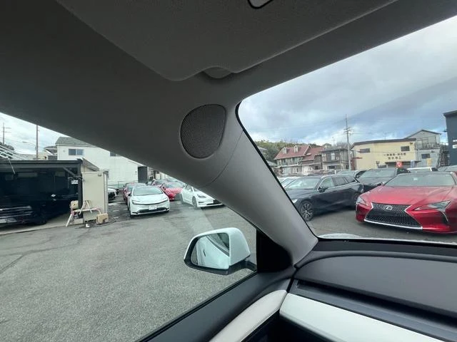 Tesla MODEL 33
