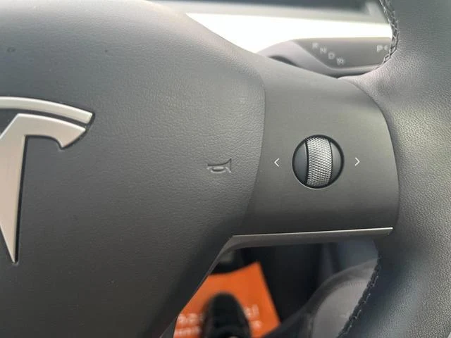 Tesla MODEL 19