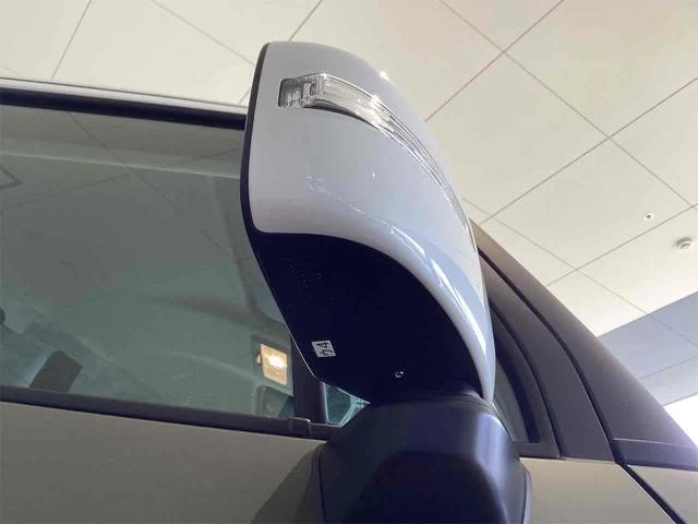 Suzuki XBEE 31