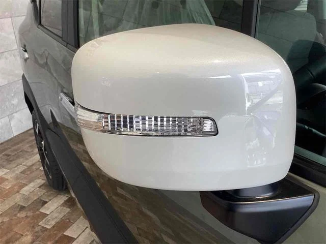 Suzuki XBEE 29