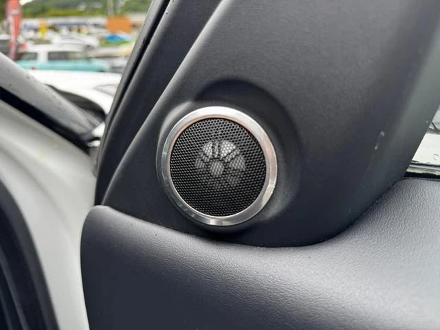 Land Rover RANGE ROVER 24