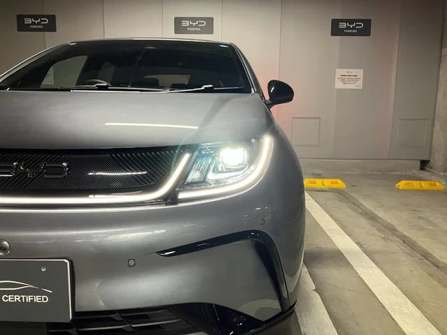 BYD DOLPHIN 20