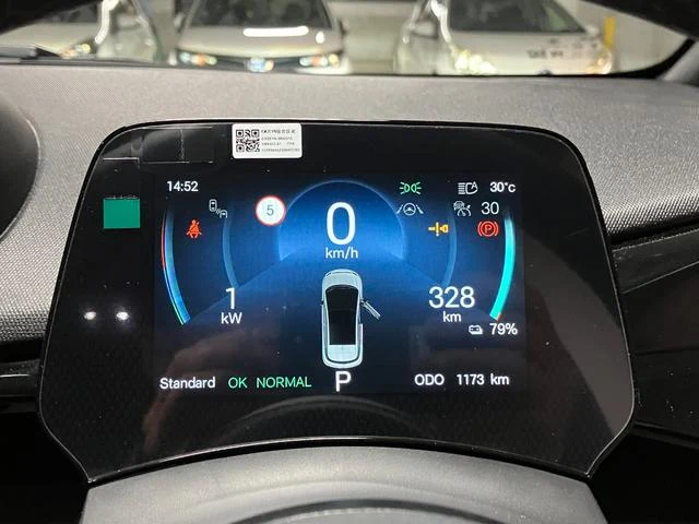 BYD DOLPHIN 6