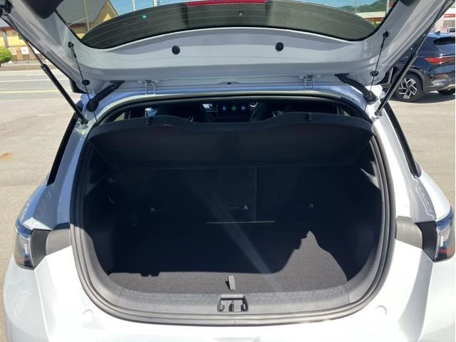 BYD DOLPHIN 13