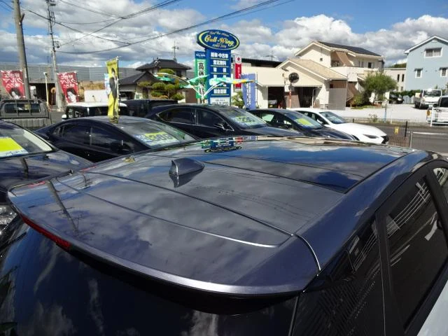 BYD DOLPHIN 50