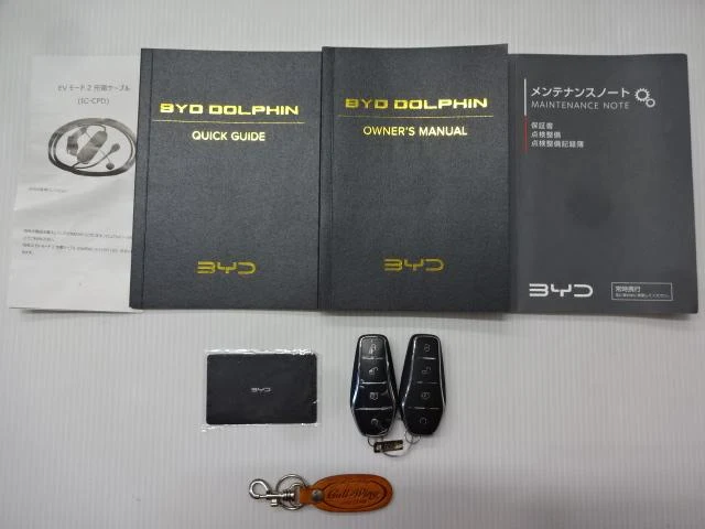 BYD DOLPHIN 61