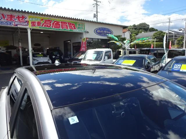 BYD DOLPHIN 49
