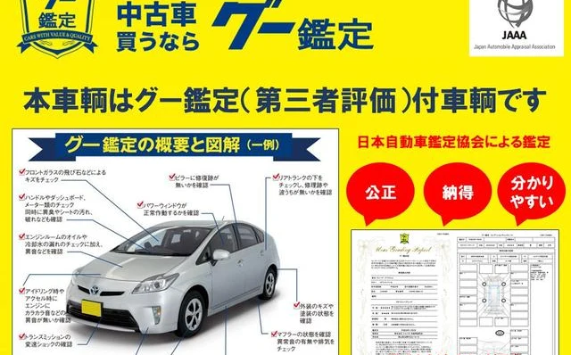 BYD DOLPHIN 9