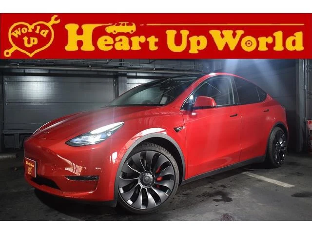 Tesla MODEL