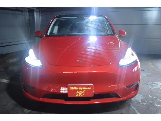 Tesla MODEL 2