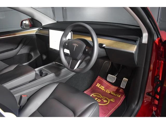 Tesla MODEL 19